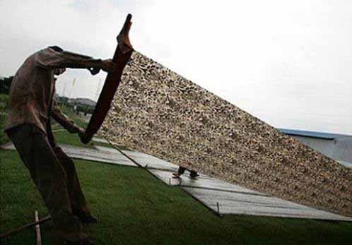 guangdong_9987.jpg