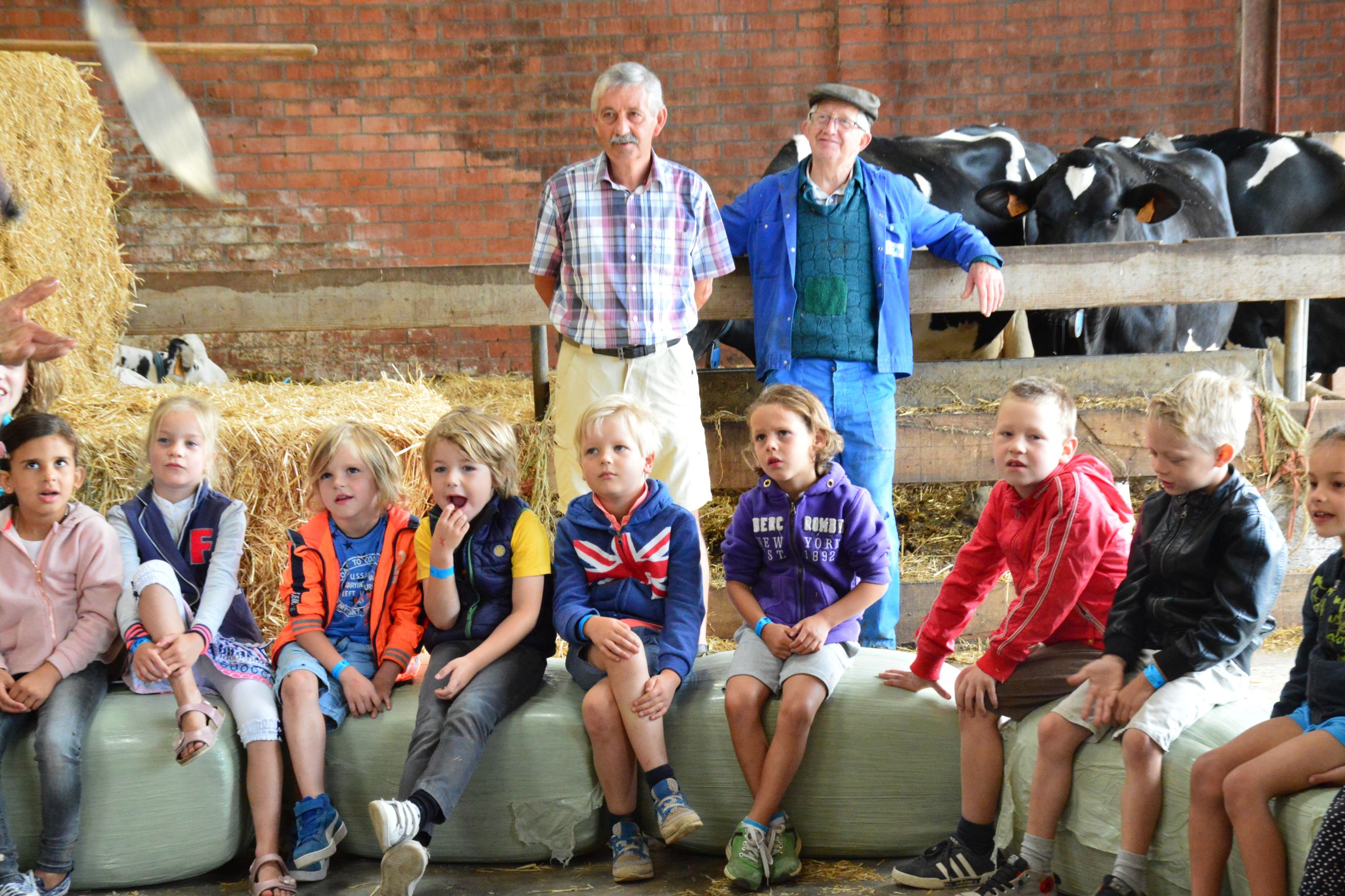 Kinderen op de boerderij