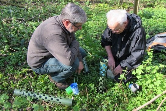 twee leden van de werkgroep Ongewervelden plaatsen ondergrondse bodemvallen